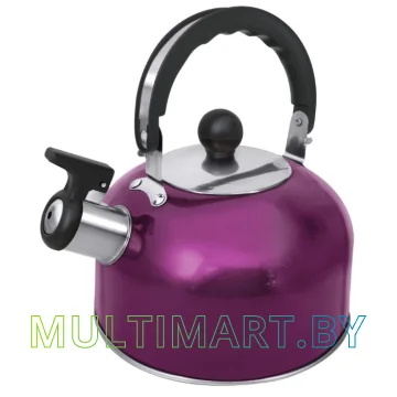 Чайник со свистком Home Element HE-WK1602 (фиолетовый чароит)